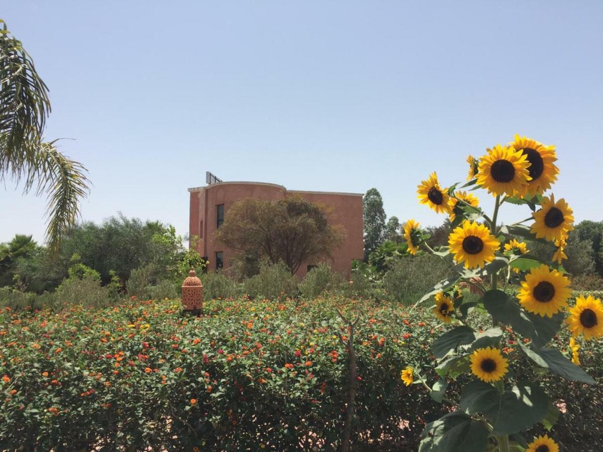 哈姆达尼摩洛哥传统庭院住宿加早餐旅馆 Derroua 外观 照片